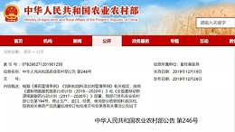 农业农村部第246号公告：15类共计561个药物饲料添加剂被注销