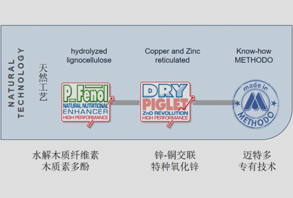 【替抗安全】饲料造假事件频发，安全的替抗添加剂该去哪里寻找2