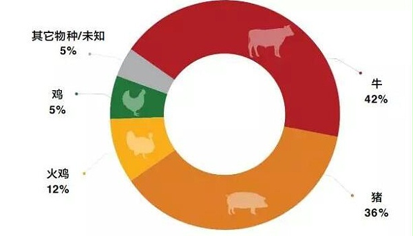 禁抗迫在眉睫 禽业先行1