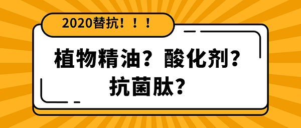 【2020替抗】倒计时开启，饲料替抗添加剂你还分不清怎么用1