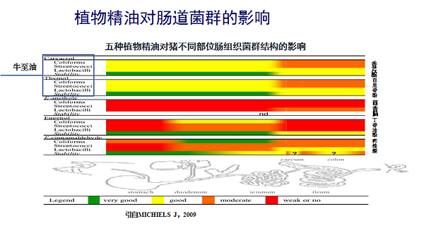 植物精油无抗养殖与动物肠道健康研究进展6