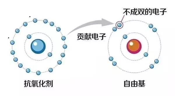 含植物精油饲料产品为什么让畜禽生产性能更佳2