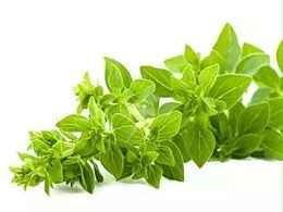 植源性饲料添加剂在家禽生产中的应用