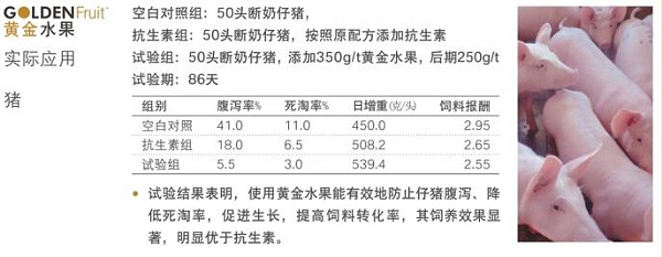 替抗方案,你选对了么222