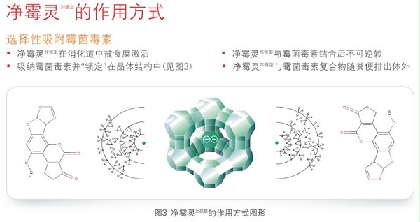梵蓝国际合作商系列之欧洲霉菌毒素吸附剂专家-瑞士优博特6