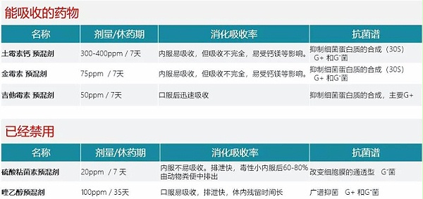 泰国替抗历程和方案给我们的启示2