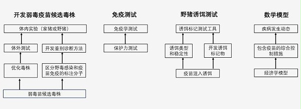 为什么非瘟、新冠疫苗都那么难？ —非洲猪瘟不能用草率的疫苗来解决222