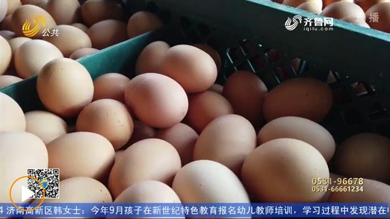 厂家饲料添加剂偷加禁用抗生素，导致上百吨鸡蛋被销毁1