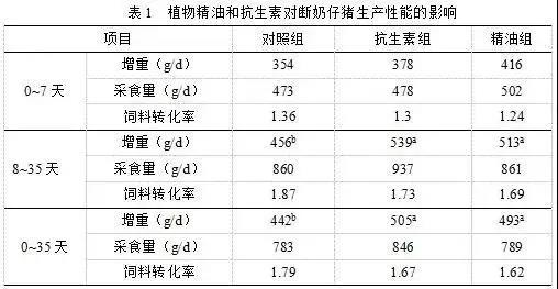 【替抗方案】植物精油给禽畜带来了哪些影响1