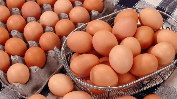 蛋鸡养殖“秋防”防什么、怎么防？