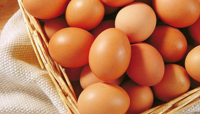 蛋鸡养殖“秋防”防什么、怎么防2
