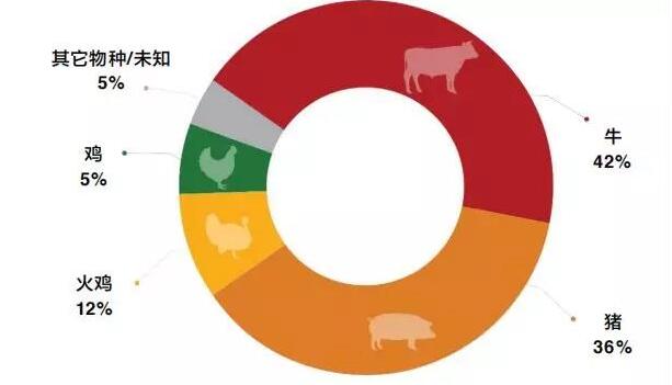 禁抗迫在眉睫 禽业先行