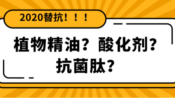 【2020替抗】倒计时开启，饲料替抗添加剂你还分不清怎么用？