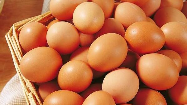 眼看蛋价又要上涨，别让蛋鸡输卵管炎断了你的财路！