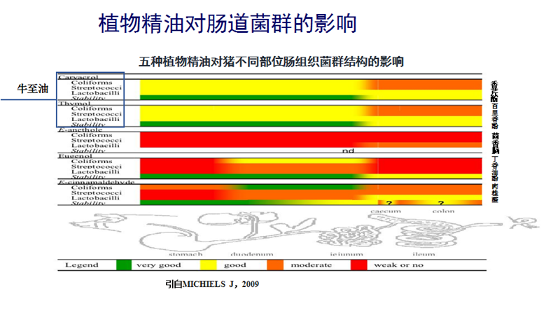 植物精油无抗养殖与动物肠道健康研究进展6