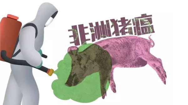 后非洲猪瘟时代，怎样选择安全的饲料添加剂产品？