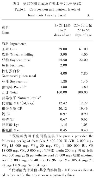 表1 表1