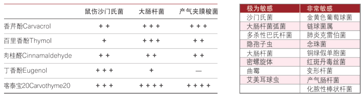 溶水精油-喀泰宝20