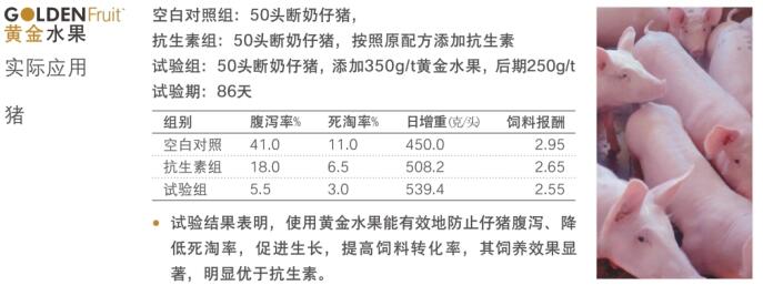 替抗方案,你选对了么222