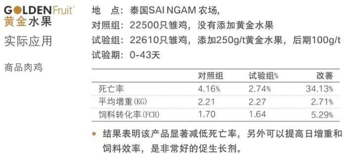 饲用精油-黄金水果 肉鸡实验