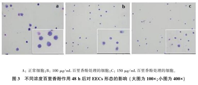 百里香酚对山羊子宫内膜上皮细胞的体外毒活性研究3