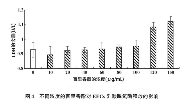 百里香酚对山羊子宫内膜上皮细胞的体外毒活性研究4