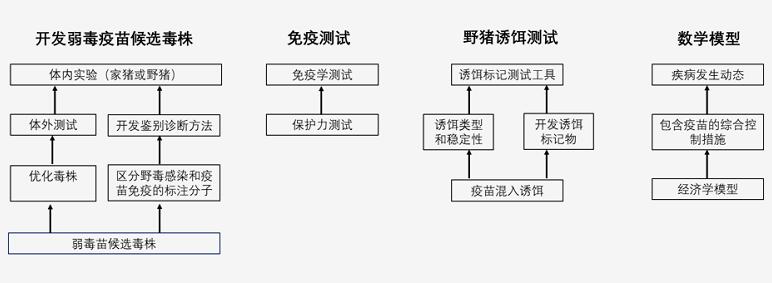 为什么非瘟、新冠疫苗都那么难？ —非洲猪瘟不能用草率的疫苗来解决222